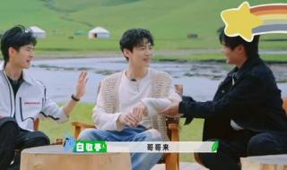 大勋是谁 魏大勋画了大勋花