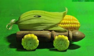 我的世界现实版僵尸 我的世界现实版僵尸