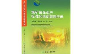 安全标准化管理手册 安全标准化管理手册