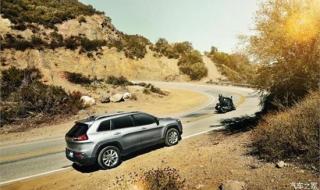 我给你自由 我给你自由