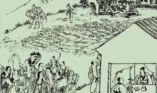 郯城大地震 郯城大地震