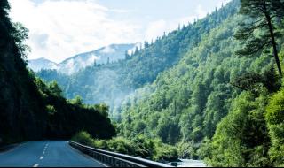 电影《神经侠侣》里面的插曲,歌名叫什么 神经侠侣片尾曲