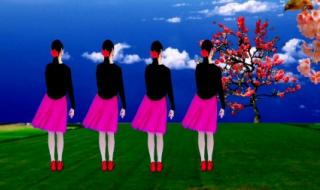 优美的旋律 优美的旋律