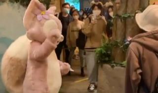 玲娜贝儿旁边的兔子叫什么 玲娜贝儿被游客拍头