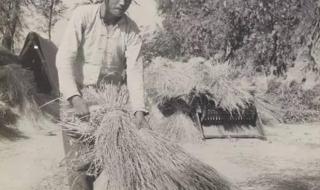 新土地法实施时间 新土地法实施时间