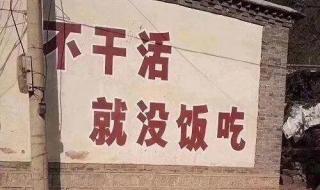 安徽智飞天选打工人是什么意思 天选打工人是什么梗