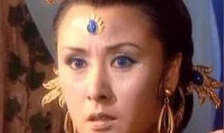 西游记陈浩民版国语 西游记陈浩民版国语