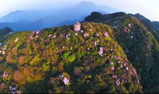 重庆到金佛山路线 重庆到金佛山路线