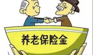 人民银行养老保险与地方接轨了吗 养老保险全国统筹