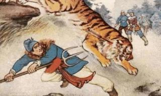 奥运会的项目有什么 奥运会共有几个大项目