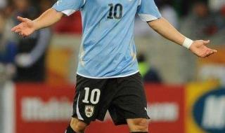 乌拉圭2010年世界杯